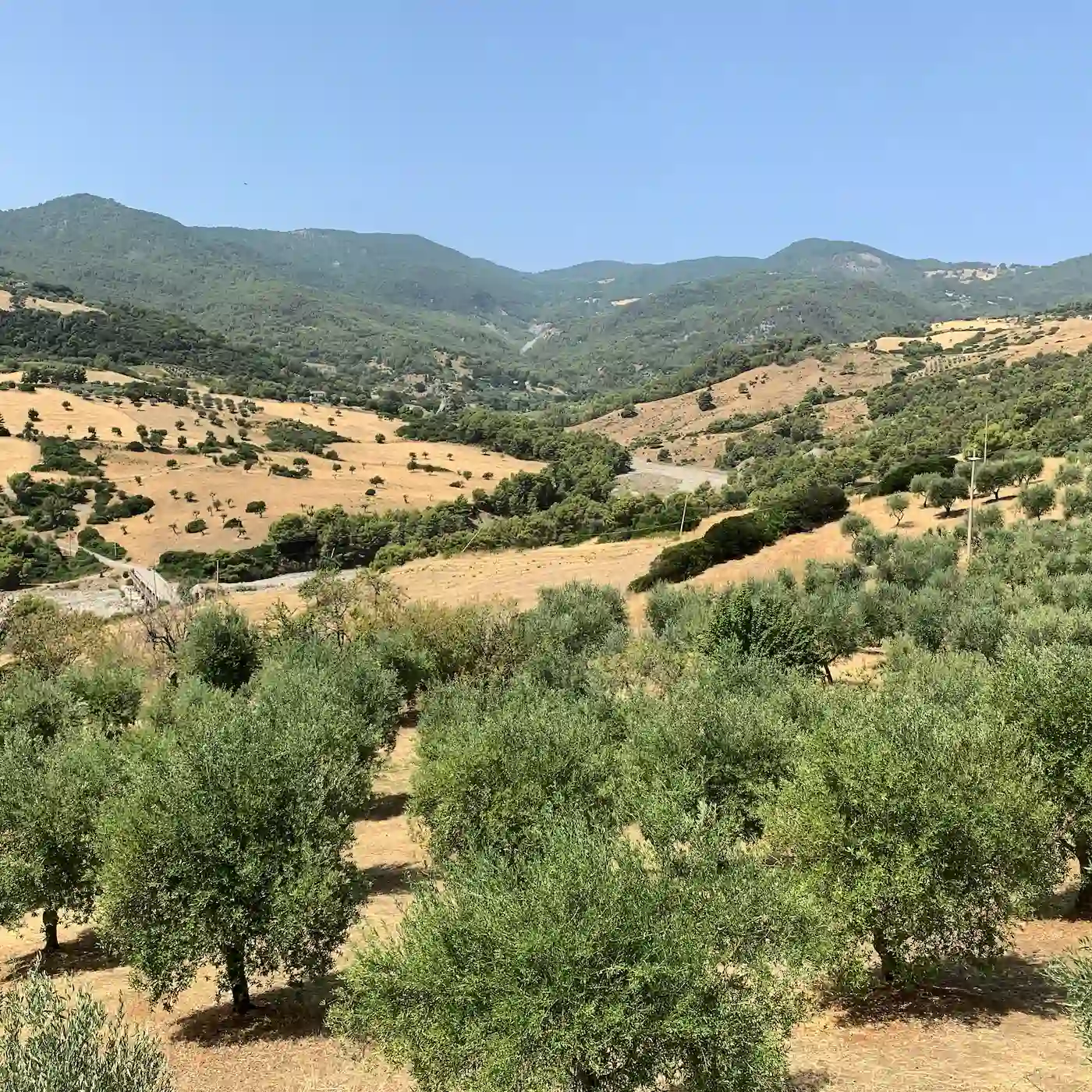 Calabrian landscape, Amendolara